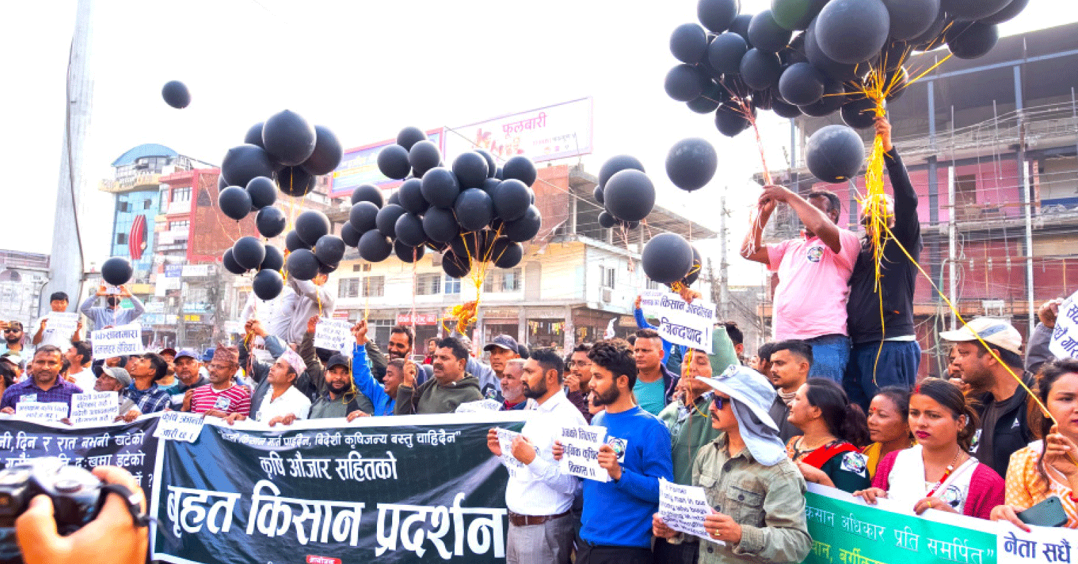 चितवनमा कालो बेलुन उडाउँदै किसानको ‘मार्चपास’