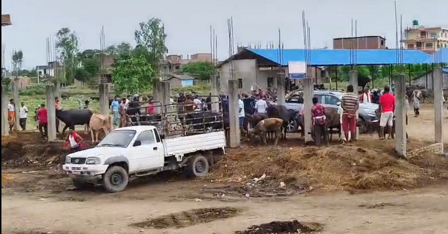 nayapatrikadaily